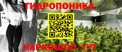 марихуана Гудермес