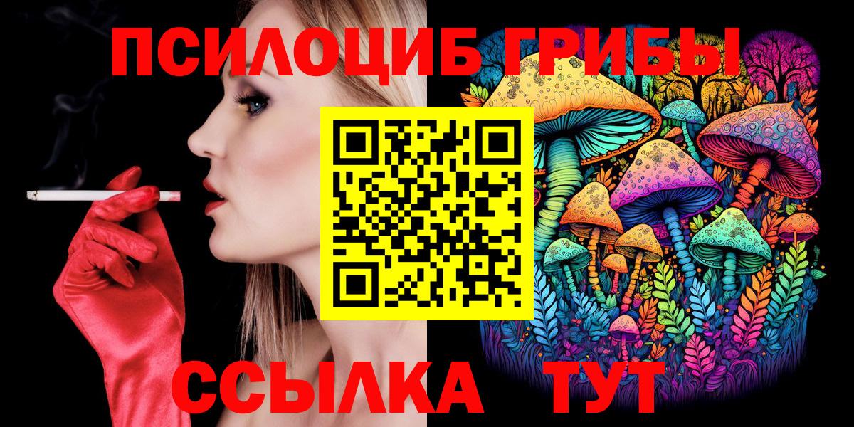 Воскресенск  Псилоцибиновые грибы Psilocybine cubensis  Вход с VPN 