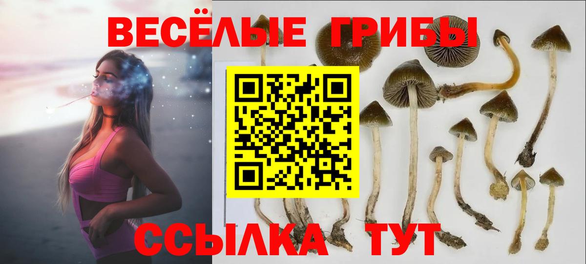 Галлюциногенные грибы Cubensis Воскресенск